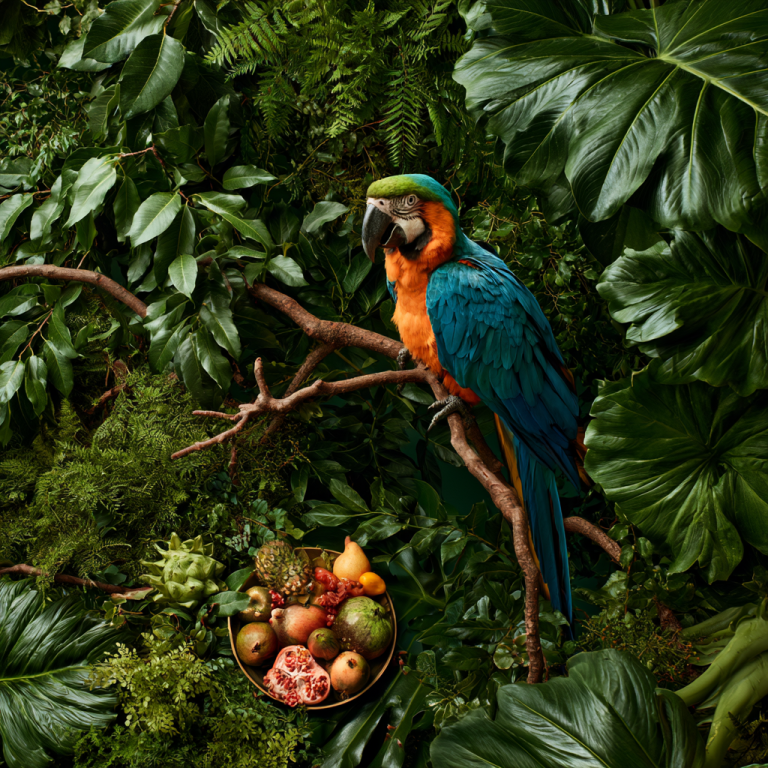 Exotic Animals for Sale: Pros and Cons of Owning Non-Traditional Pets