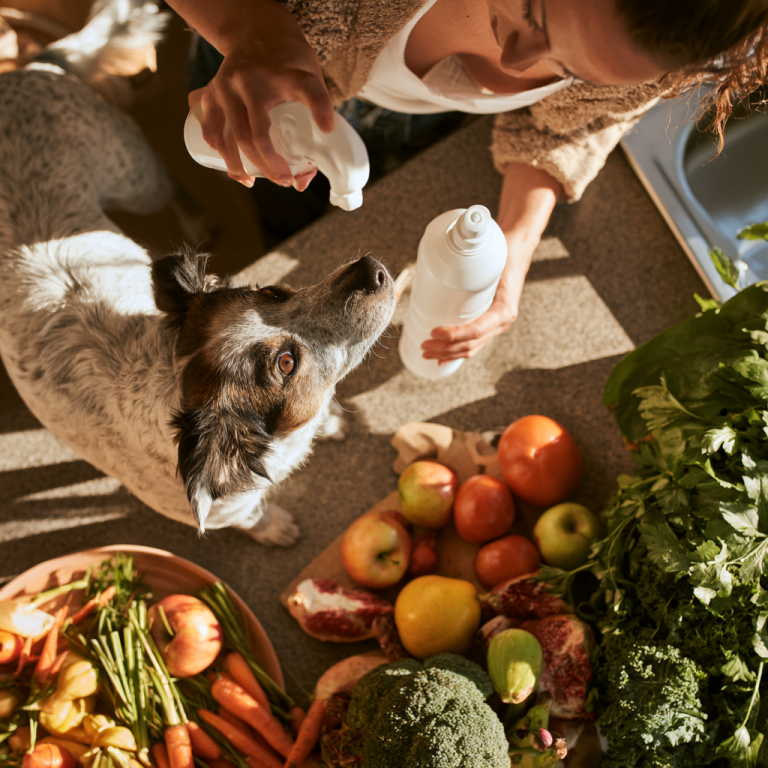 Pet Poison Control: Essential Steps for Pet Safety