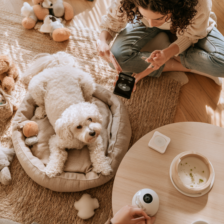 Pet Recovery Services: Why 24-Hour Pet Watch is Essential